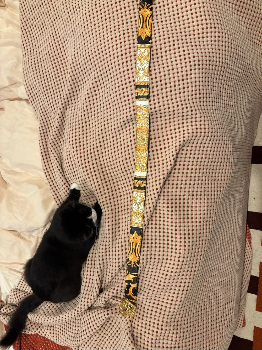 Versace Gold Medusa Buckle Black Ribbon Belt with Baroque Motif